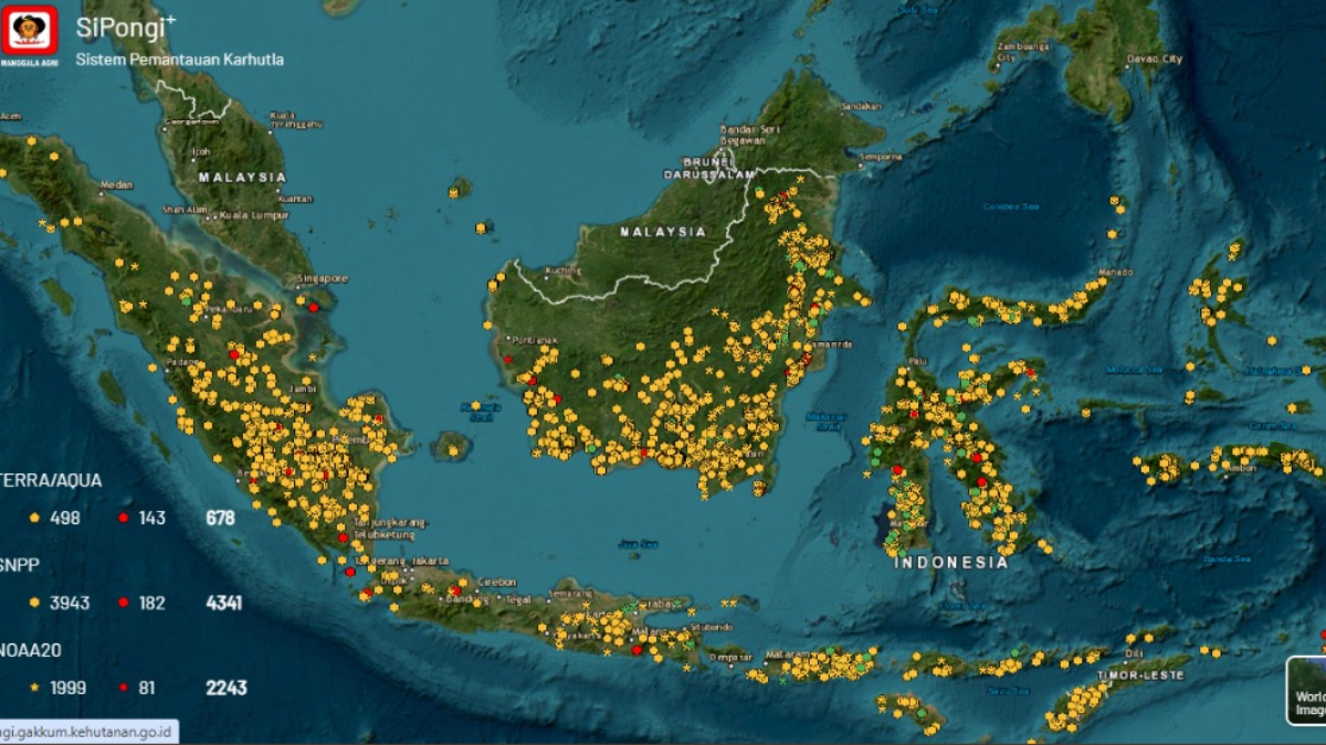 Indikasi luas lahan terbakar di enam provinsi prioritas mencapai 76.922,3 hektare per 8 September 2026.